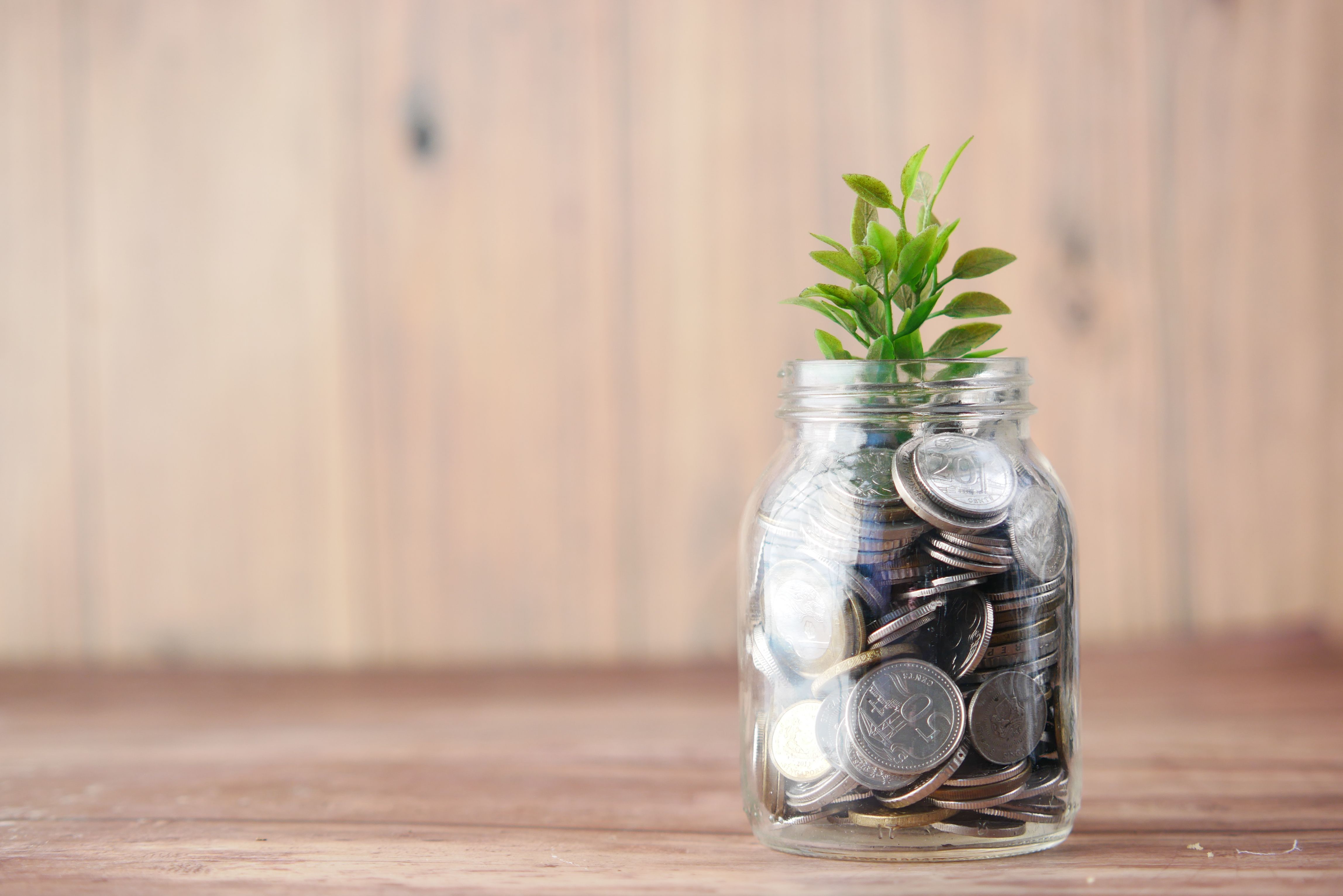 growing money